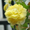 ���� Aru, �������� - ��������� 2 ������� 2015 � ������ �FLOWERS�