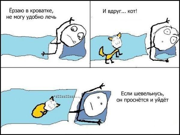 ? ,  ! - 6  2016  17:58