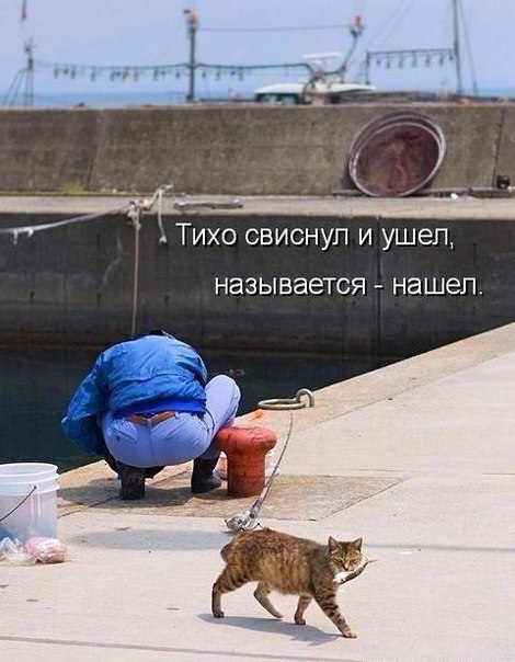    - 28  2016  11:13