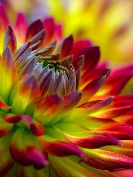 �����, ������� �� ��������, ������� �������, �������� �� ����� �� ������ ����� �����. � ������� ... - 6