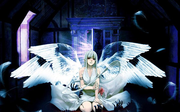 �������� ������ �������� - 1 ������ 2016 � 11:30 - 3