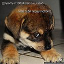 ���� �������, ��������, 38 ��� - ��������� 4 ������� 2015 � ������ ������ ��������