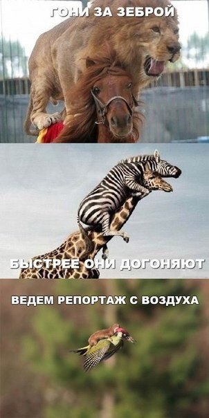 �������� ���� - 2 ������ 2015 � 10:03