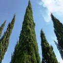  , , 60  -  5  2016     2015