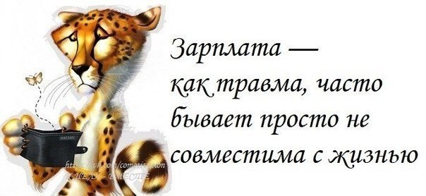  - 6  2016  01:51
