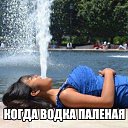 ���� ��������, ���������� - ��������� 4 ������� 2015 � ������ ������ ��������