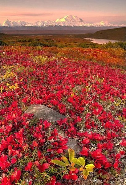 ���, ������