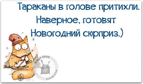  - 6  2015  17:33