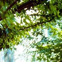 ���� ��������, �����������, 46 ��� - ��������� 29 ������ 2015