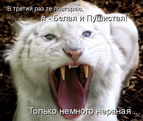 :))