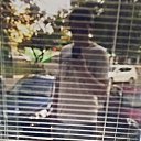 ���� �������, ������, 38 ��� - ��������� 6 ������ 2015