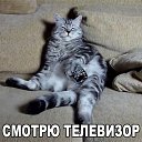 ���� �������, ������ - ��������� 12 ������� 2015 � ������ ���������