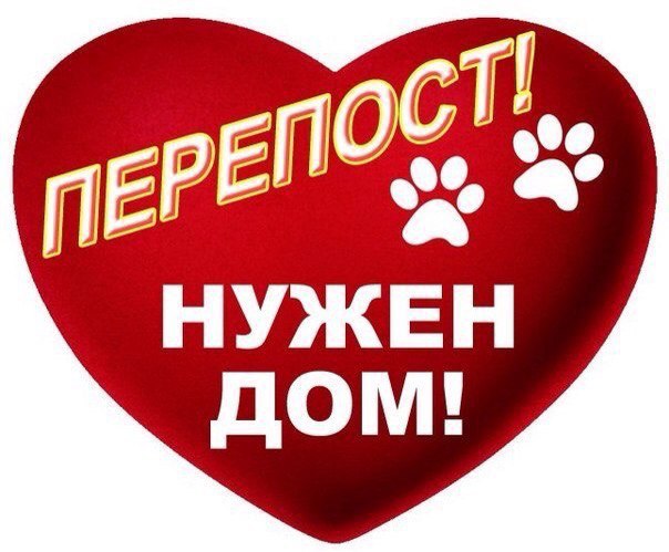 ������ ����! ���� ����� �� �����, ������ ��� ������� ���� ���� ������. ���� ��� ����� �������� �� ... - 4