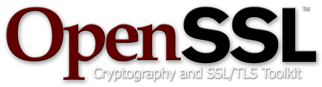 Openssl info. Openssl. openssl logo. openssl csa. csfc.