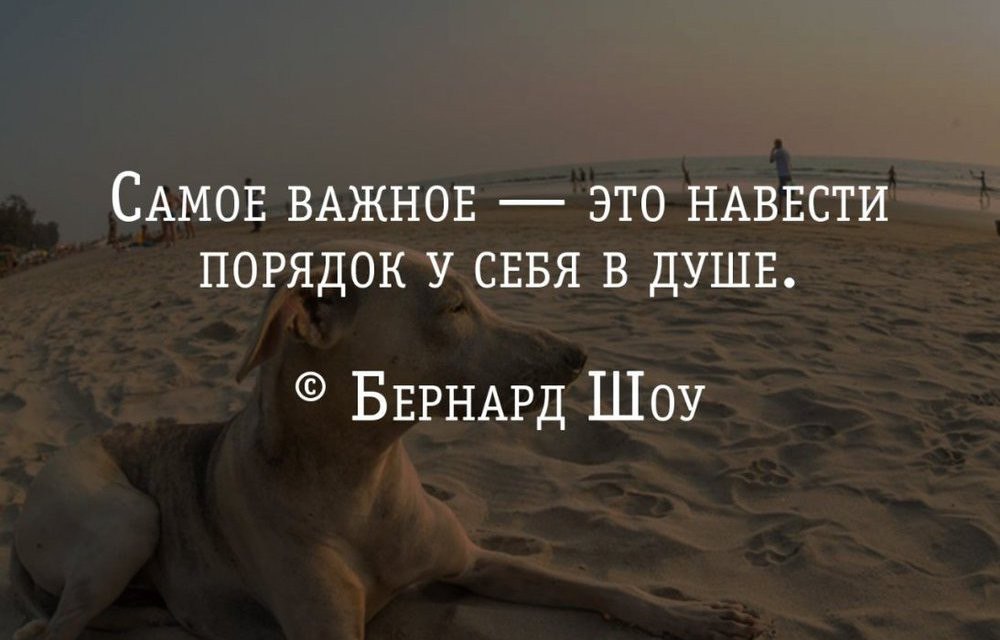 .https://fotostrana.ru/away?to=/sl/kxC2 - 30  2015  18:47