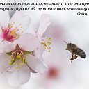 ���� ��������, ������� - ��������� 4 ����� 2016 � ������ ������.......�