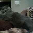 ���� Gennadiy, ����, 46 ��� - ��������� 9 ������� 2016 � ������ ���� ����������