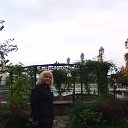 ���� �������, �������� - ��������� 5 ������� 2015 � ������ ���� ����������