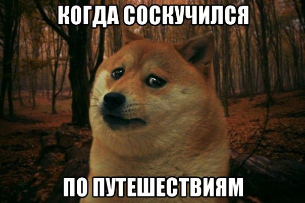 14 вещей, по которым скучает каждый после легендарного путешествия за границу. 1. То чувство, будто ...