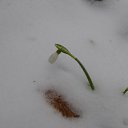 11.02.2015 ������ �����. ������-����. �� ������� ���� ����������