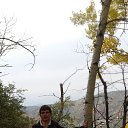  ,  , 51  -  1  2015    