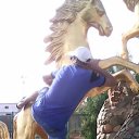 ���� �������, ������������, 48 ��� - ��������� 4 ������� 2015 � ������ ���� ����������