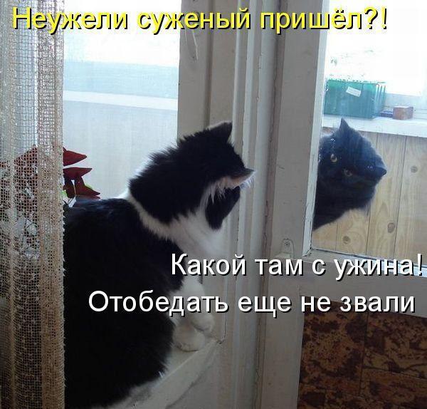  - 17  2016  19:02