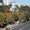  , --, 55  -  1  2016    