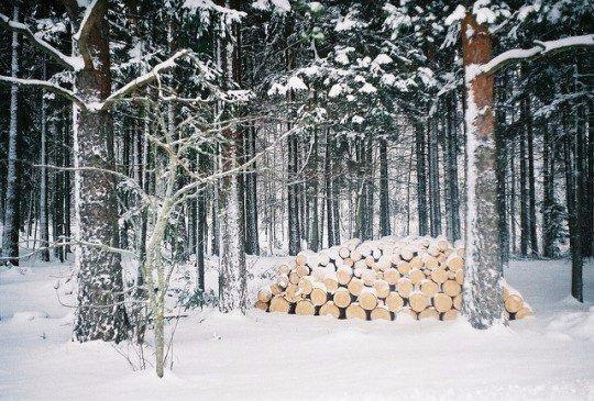 ...����� ��� ���� �������� ��� � �������