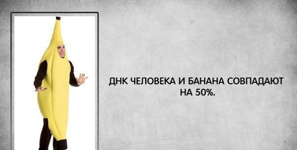   - 6  2015  19:29 - 5