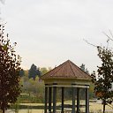 ���� ��������, ������ - ��������� 25 ������� 2015 � ������ �������� ��������