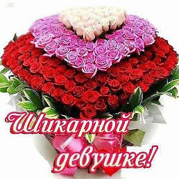 ���� �����, ������, 53 ���� - ��������� 7 ������ 2015