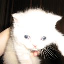 ���� ������, �����-���������, 70 ��� - ��������� 4 ������ 2015 � ������ ����� �����