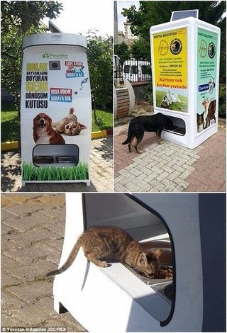 �������, ������� ������ ��������� (����������� �������, ���������� � �������� �����) �� ���� ��� ...