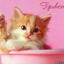 ���� �����!!������� ������, ������������ - ��������� 19 ������� 2015 � ������ ������ ��������