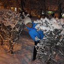  , , 52  -  2  2015   2015