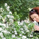 ���� ������, �������������, 50 ��� - ��������� 10 ������ 2016 � ������ ���� ����������