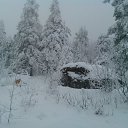 ���� �������, ������������, 37 ��� - ��������� 17 ������� 2015 � ������ ���� ����������