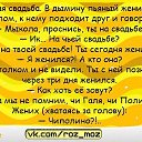 ���� ����������, ������-���, 54 ���� - ��������� 30 ������ 2016 � ������ ������ ��������