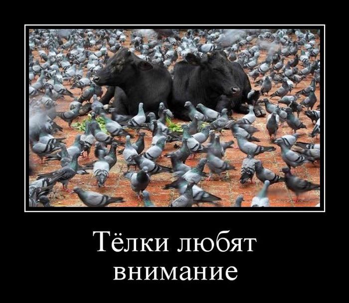   - 30  2015  20:13