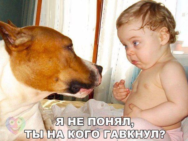   :D - 8  2015  18:47