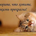 ���� ����, �����, 53 ���� - ��������� 24 ������ 2016