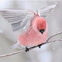 ���� ��������� ���������, ��������� - ��������� 20 ������� 2016 � ������ ���� ����������