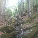 ���� ��� �, ������, 52 ���� - ��������� 26 ������� 2015 � ������ ���� ����������