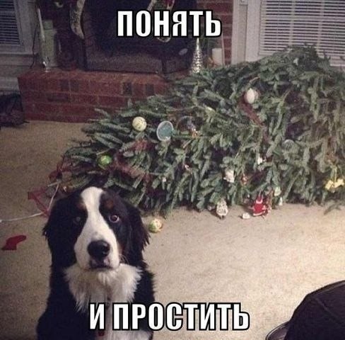   - 20  2015  22:03