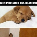  @t, - -  19  2015    