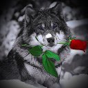 ���� Alekcandr, ������ - ��������� 29 �������� 2015 � ������ ���� ����������
