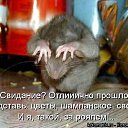 ���� �������, ��������, 38 ��� - ��������� 4 ������� 2015 � ������ ������ ��������