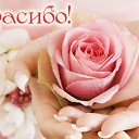 ���� �����, �������� - ��������� 9 ������� 2015 � ������ �������� ��������