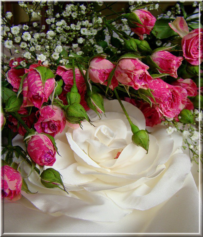 Песня замечательный день. Благодарность цветы. Прекрасные цветы для прекрасной женщины. С днем рождения цветы. С днём рождения розы красивые.